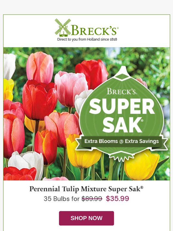 Super Saks Make Gardening Easier & Cheaper 💰