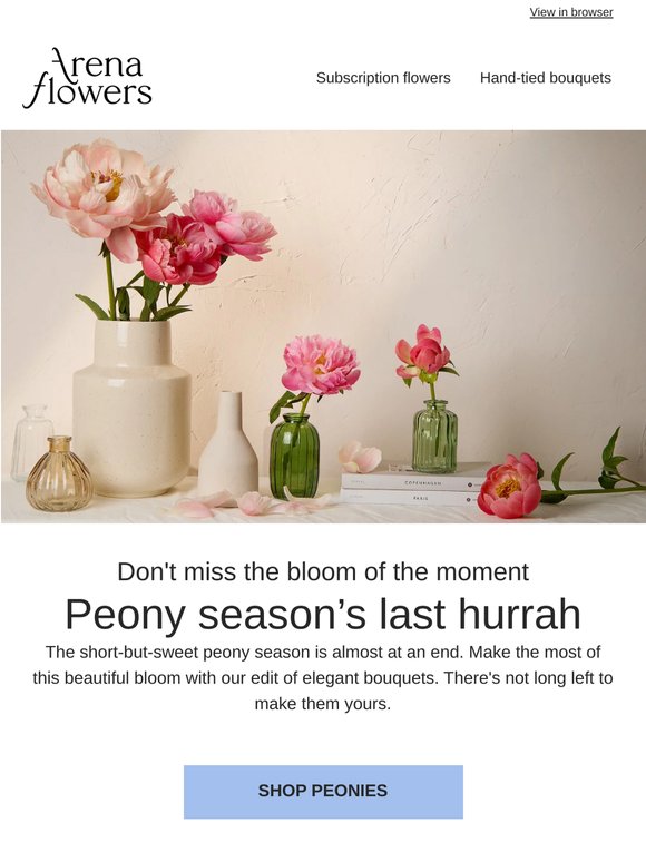 Peony season's last hurrah