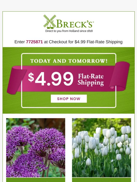 💥 Flash Sale! $4.99 Flat-Rate Delivery
