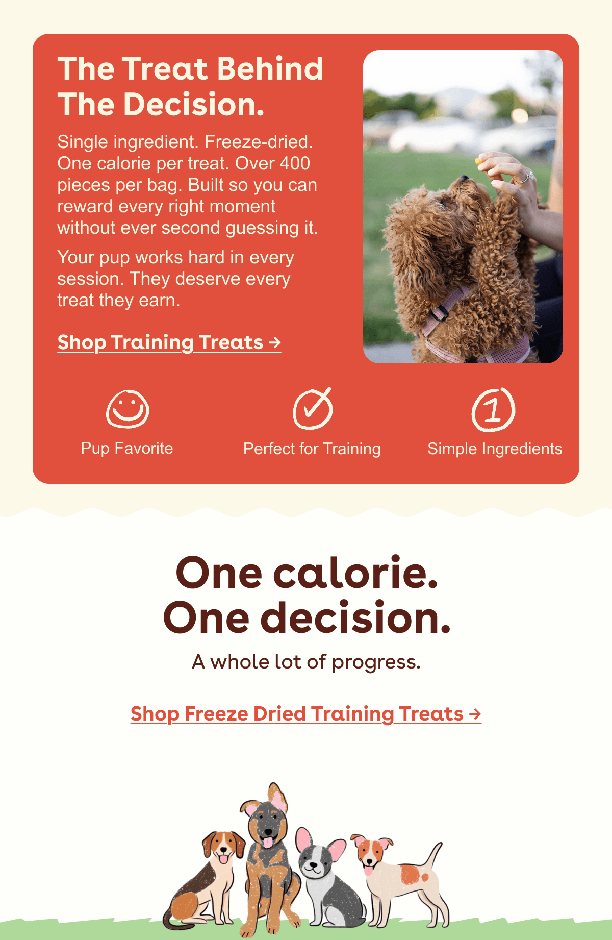 Freeze dried training treats 