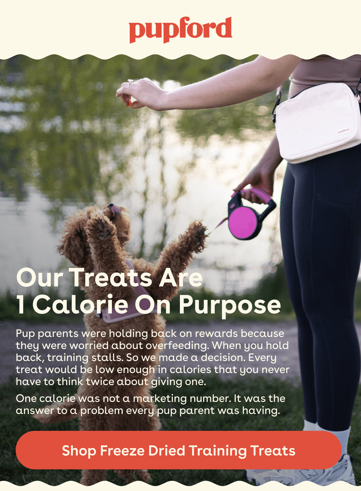 Shop freeze dried training treats 