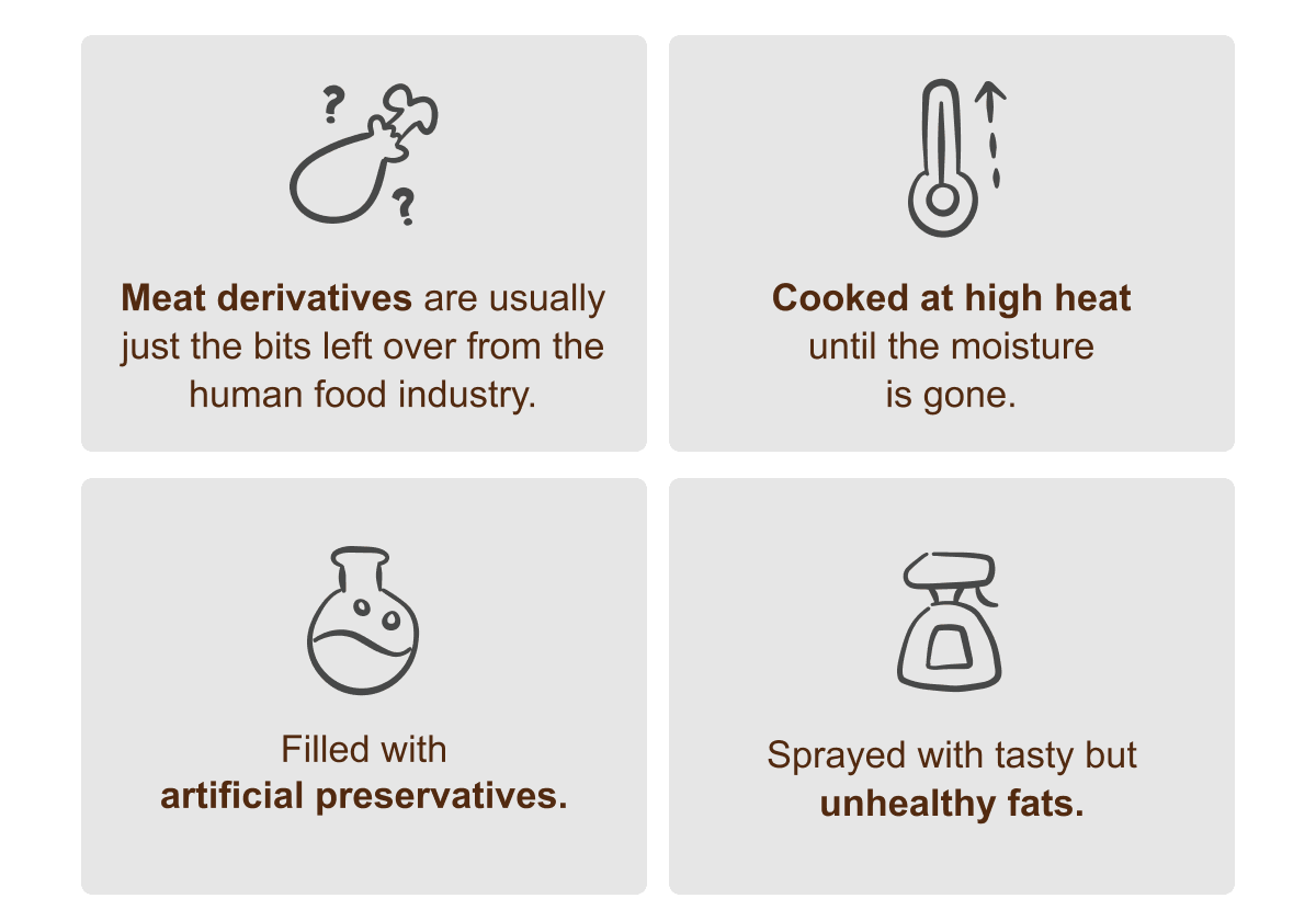 Meat derivatives are usually just the bits left over from the human food industry. / Cooked at high heat until the moisture is gone. / Filled with artificial preservatives. / Sprayed with tasty but unhealthy fats.