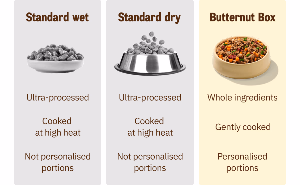 Gently cooked: We use human-quality meat and veg to lock in the good stuff.