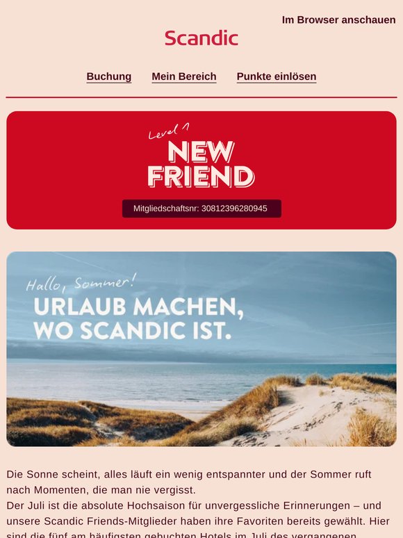 Entdecke die Sommer-Highlights unserer Friends ☀️
