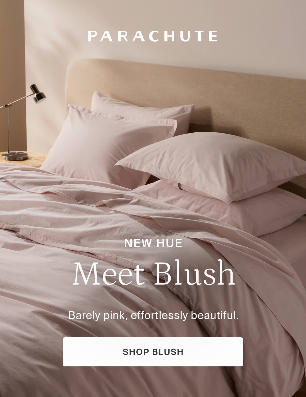 parachute, meet blush, our new hue, shop now