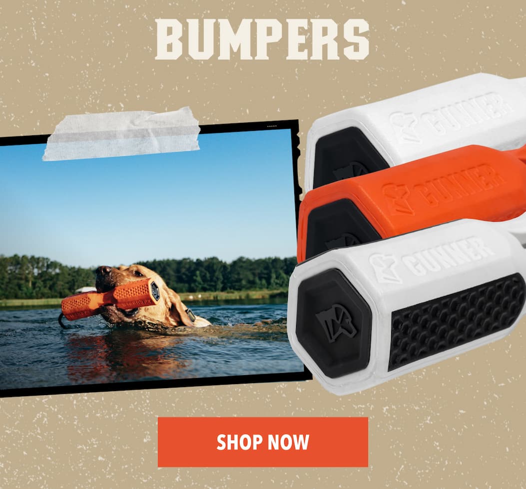 Bumpers