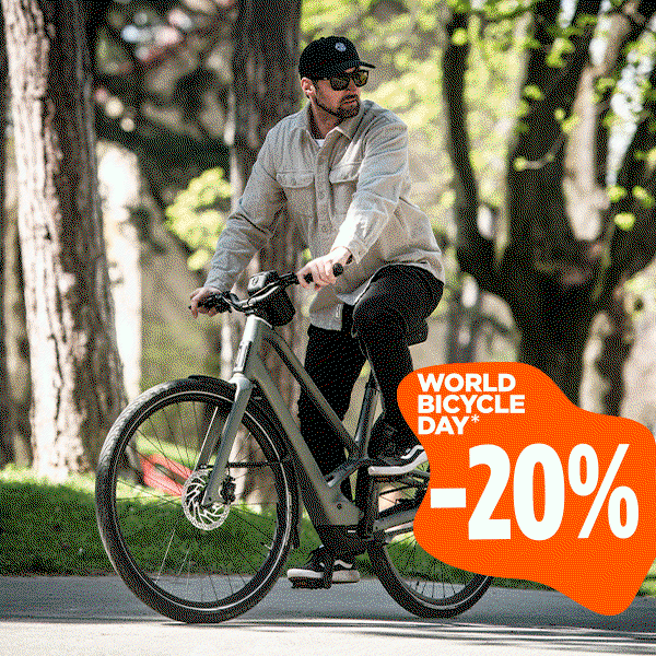 BIKE26NL