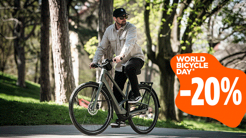 BIKE26NL