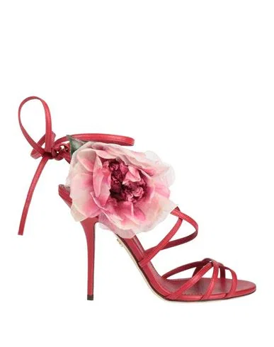 DOLCE&GABBANA