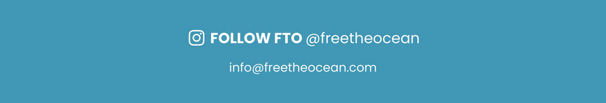 Follow FTO on Instagram @freetheocean