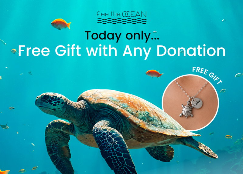 Happy World Oceans Day! 