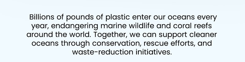 Billions of pounds of plastic enter our seas every year—your donation today funds vital ocean conservation and rescue efforts.