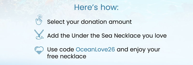 Choose your donation, add your favorite Under the Sea Necklace to the cart, and apply code OceanLove26.