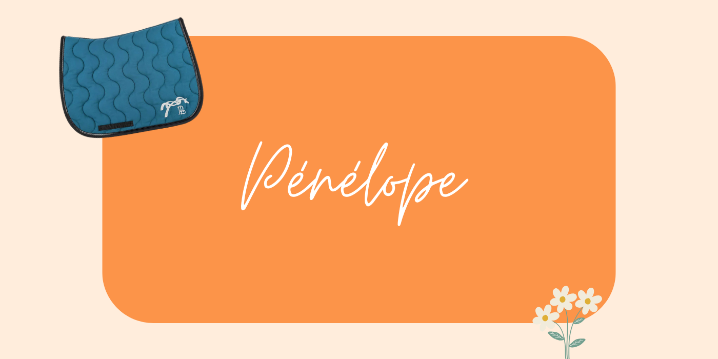 Nouveautés Pénélope