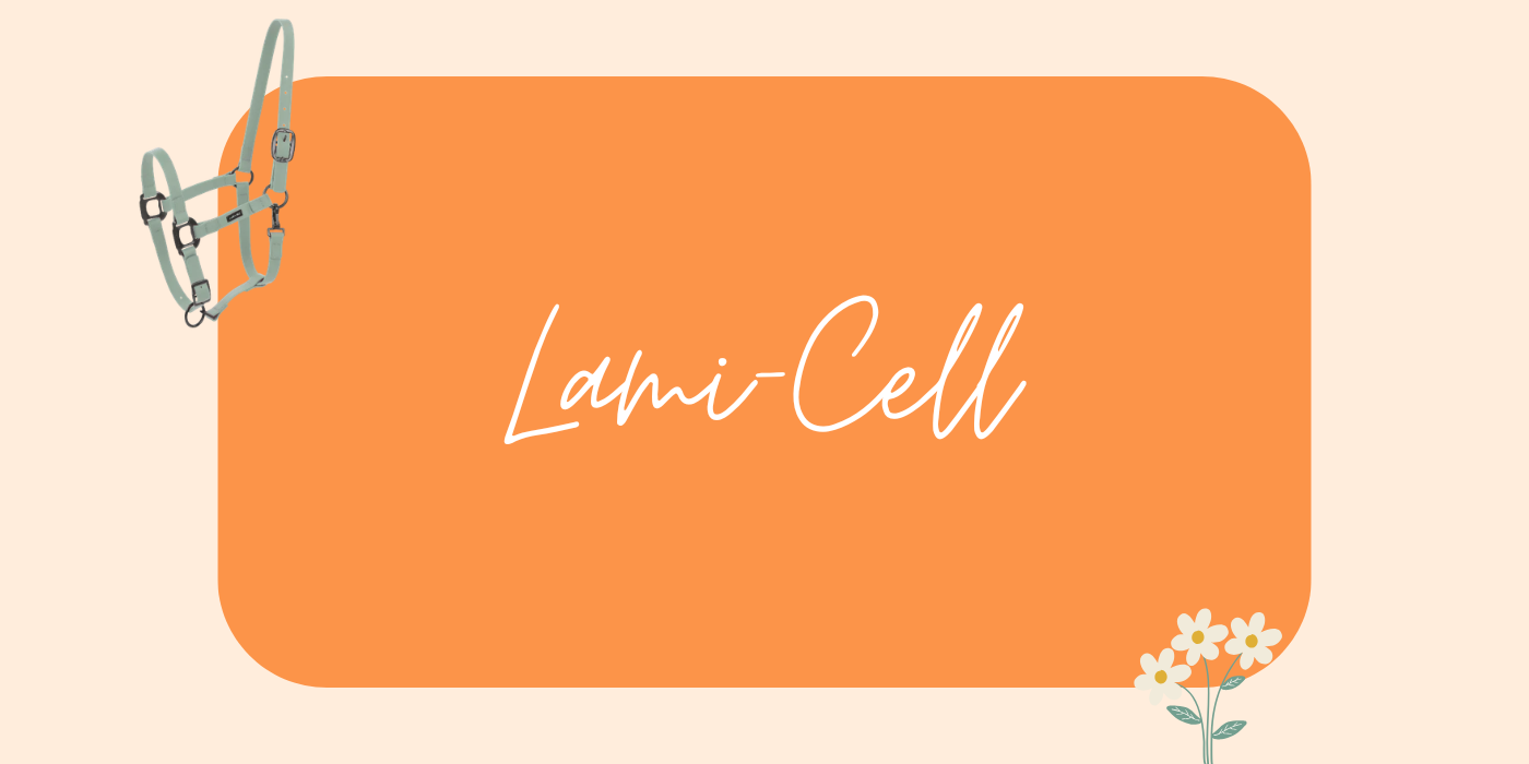 Nouveautés Lami-Cell