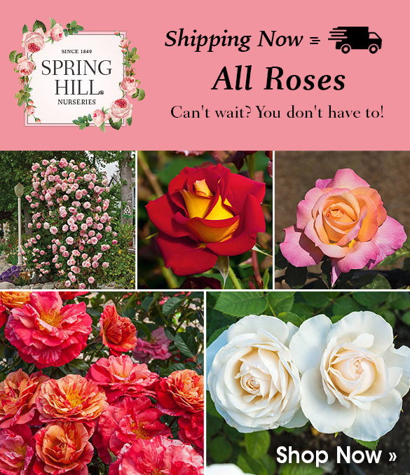 Save up to 25% by 5/8!