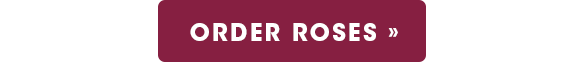 Shop Roses