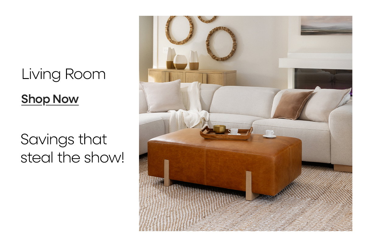 Shop Living Room