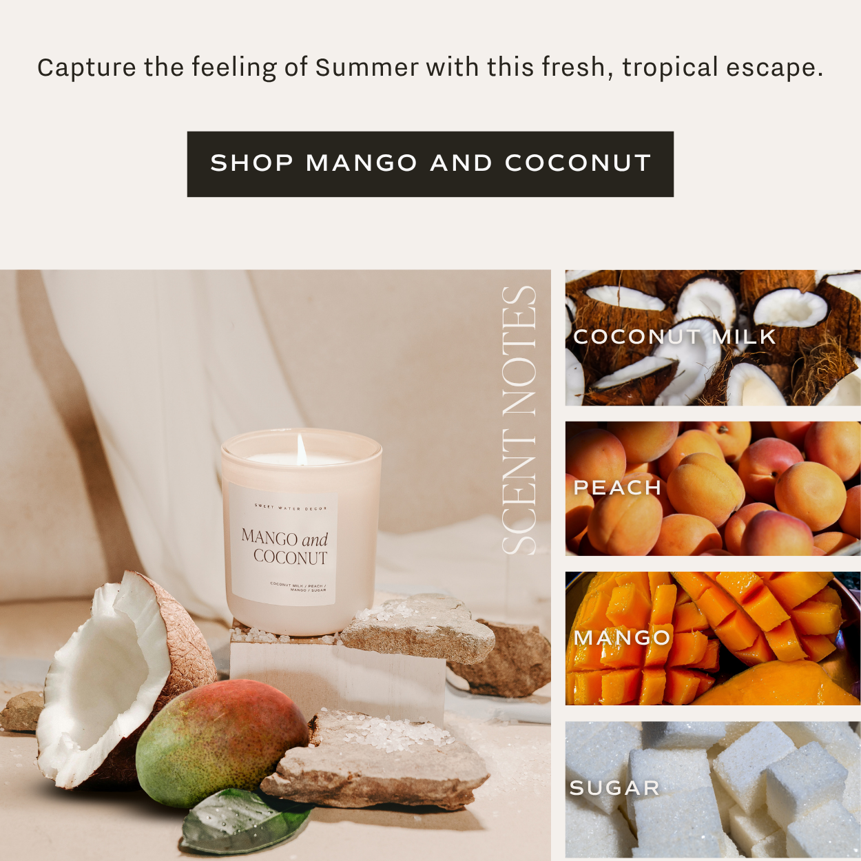 Scent notes: coconut milk, peach, mango, sugar