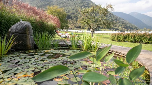 Teich mit blick ins grüne