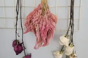 The stunning reason why we're all drying all the flowers this week