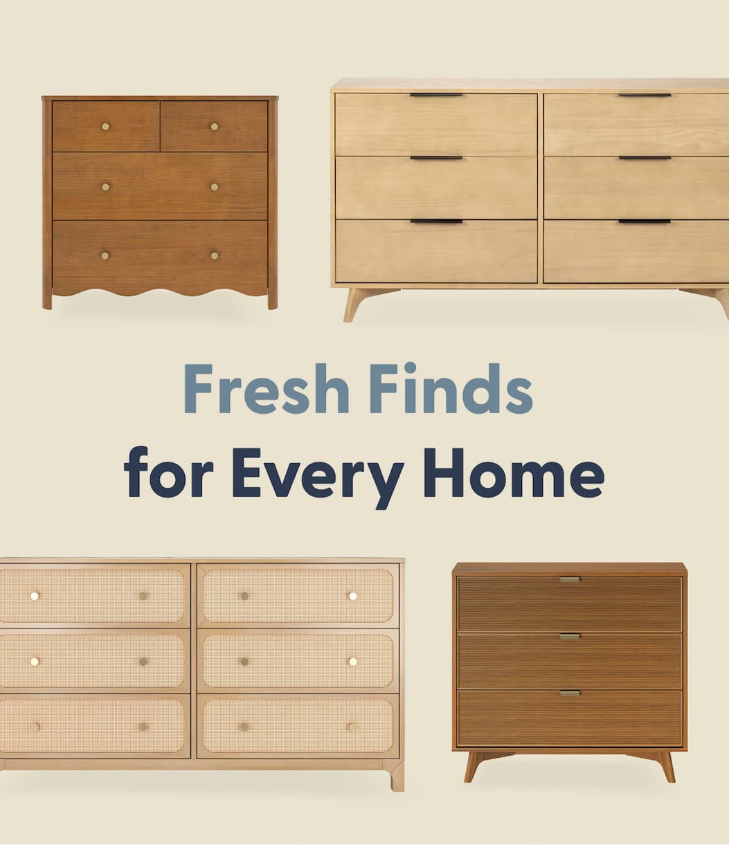 Fresh Finds for Every Home