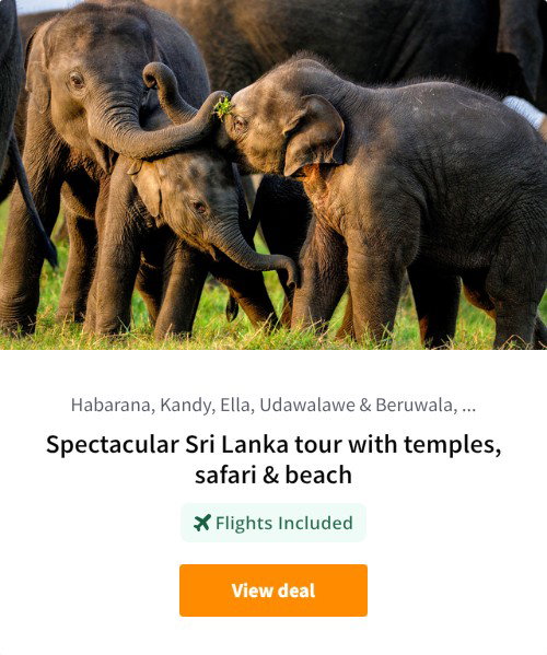 Spectacular Sri Lanka tour with temples, safari &amp; beach