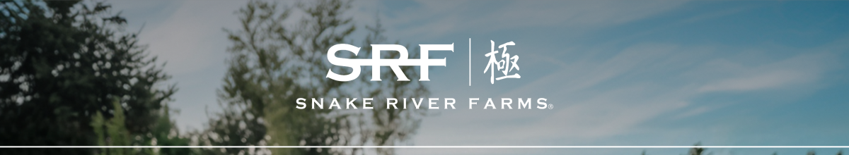 Logo header