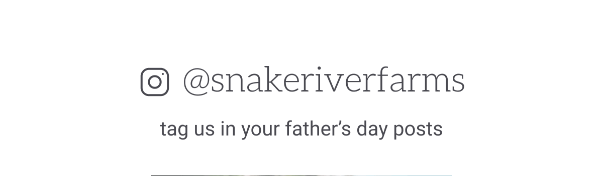 Instagram Father's Day posts