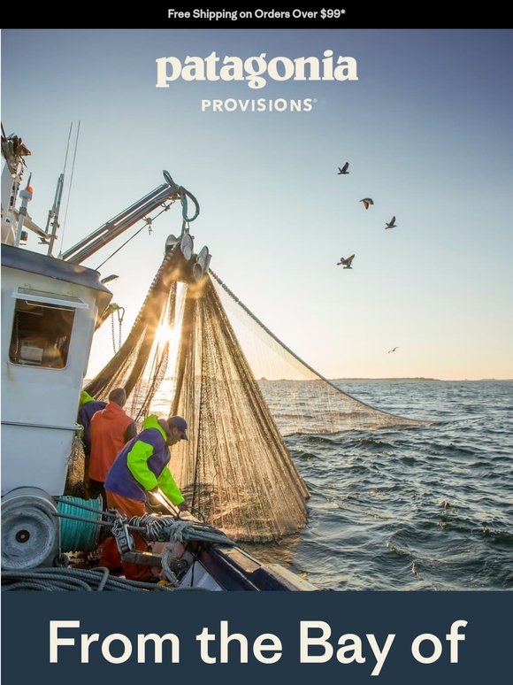 Just add sardines