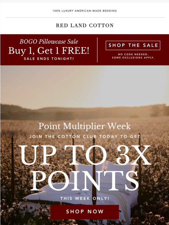 Join The Cotton Club, Earn Up To 3x Points