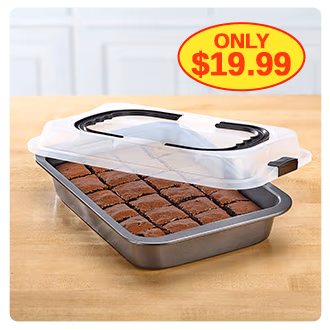 379399 Cake Pan with Lid