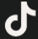 tiktok_icon