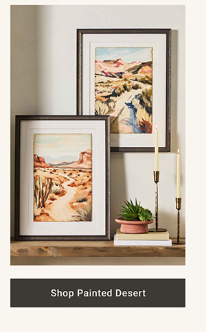 Shop Painted Desert >