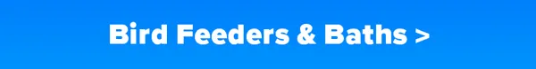 Bird Feeders & Baths