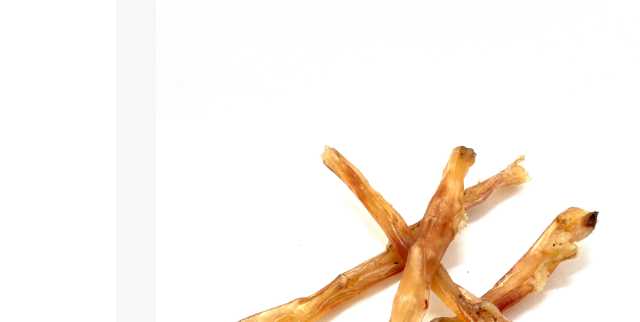 Beef Tendon Chews.
