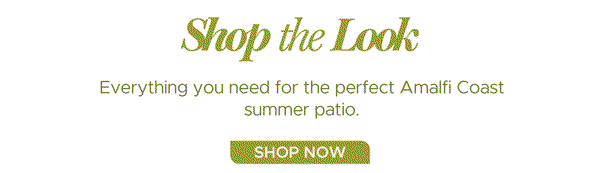 Shop The Look