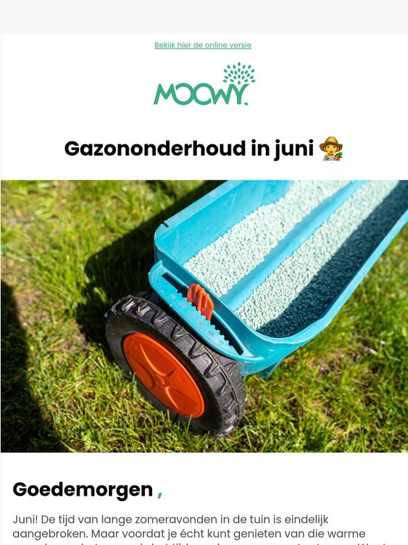 Gazonkalender: Wat kan je doen in juni? ✅