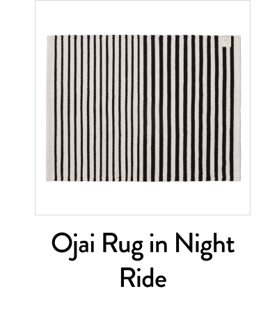Ojai Rug in Night Ride