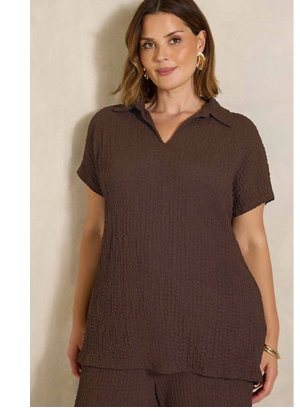 EVANS Curve Chocolate Brown Crinkle Short Sleeve Top
