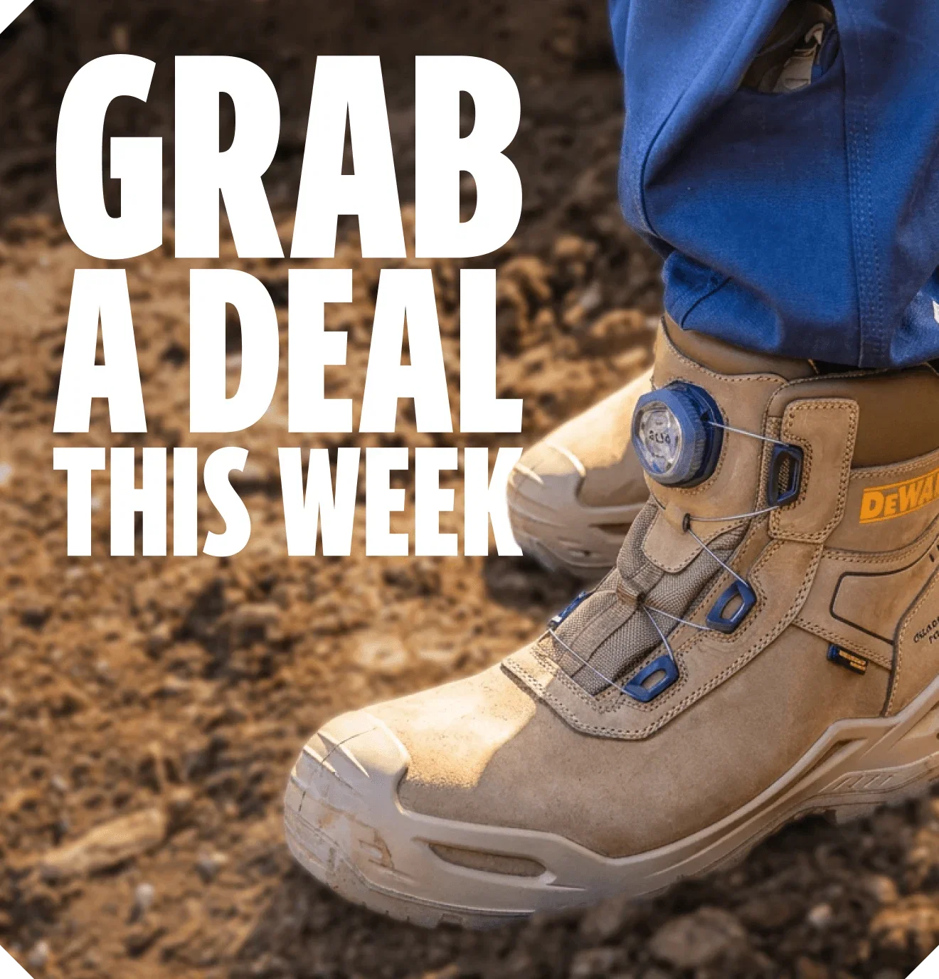 Grab a deal for the week ahead
