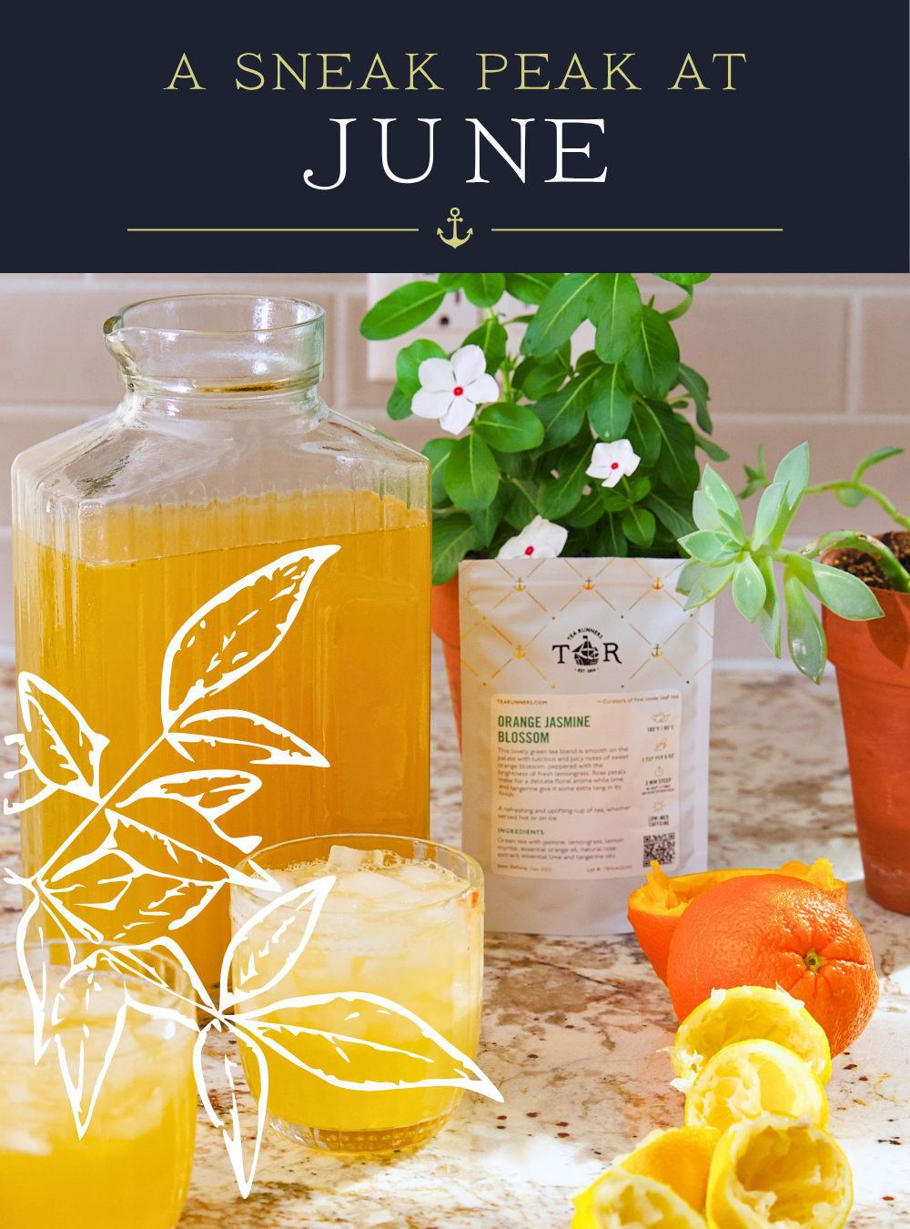 A Sneak Peak at June