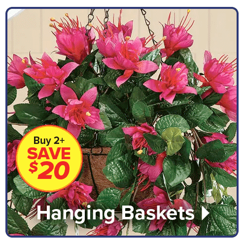Shop Hanging Baskets