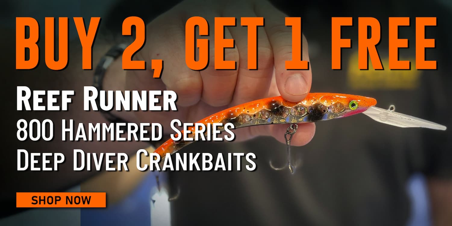 Buy 2, Get 1 Free Reef Runner 800 Hammered Series Deep Diver Crankbaits Shop Now