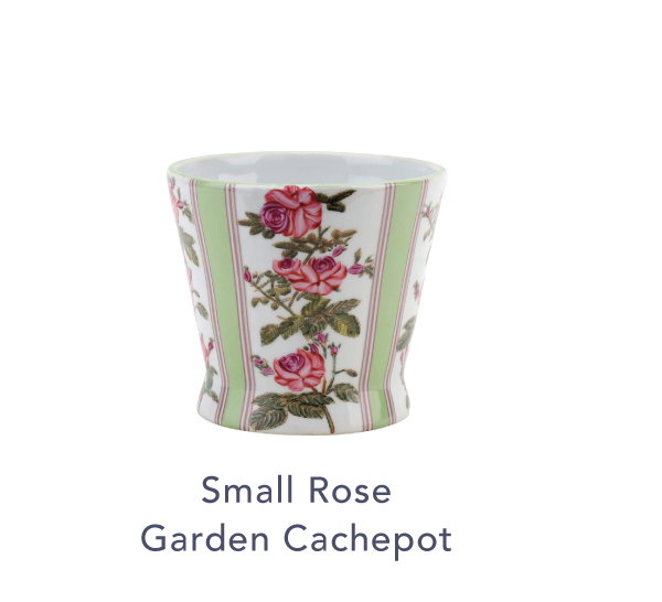 Small Rose Garden Cachepot