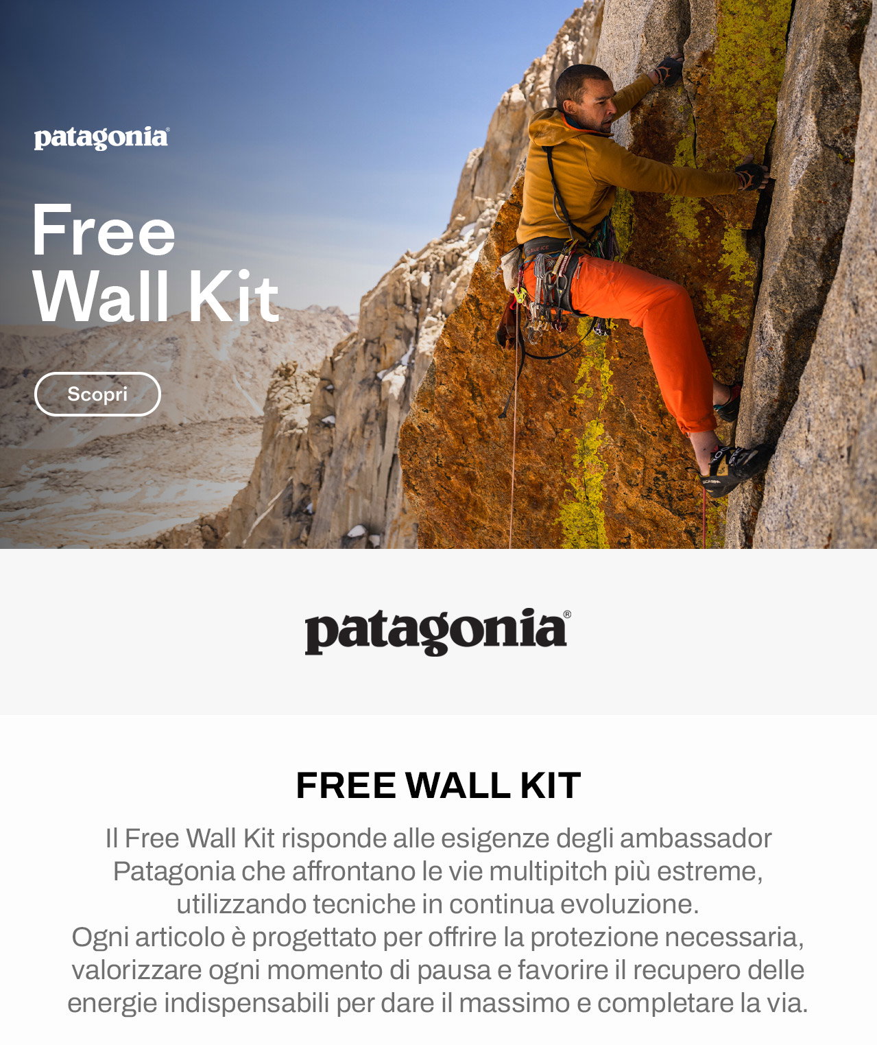 Patagonia Free Wall Kit