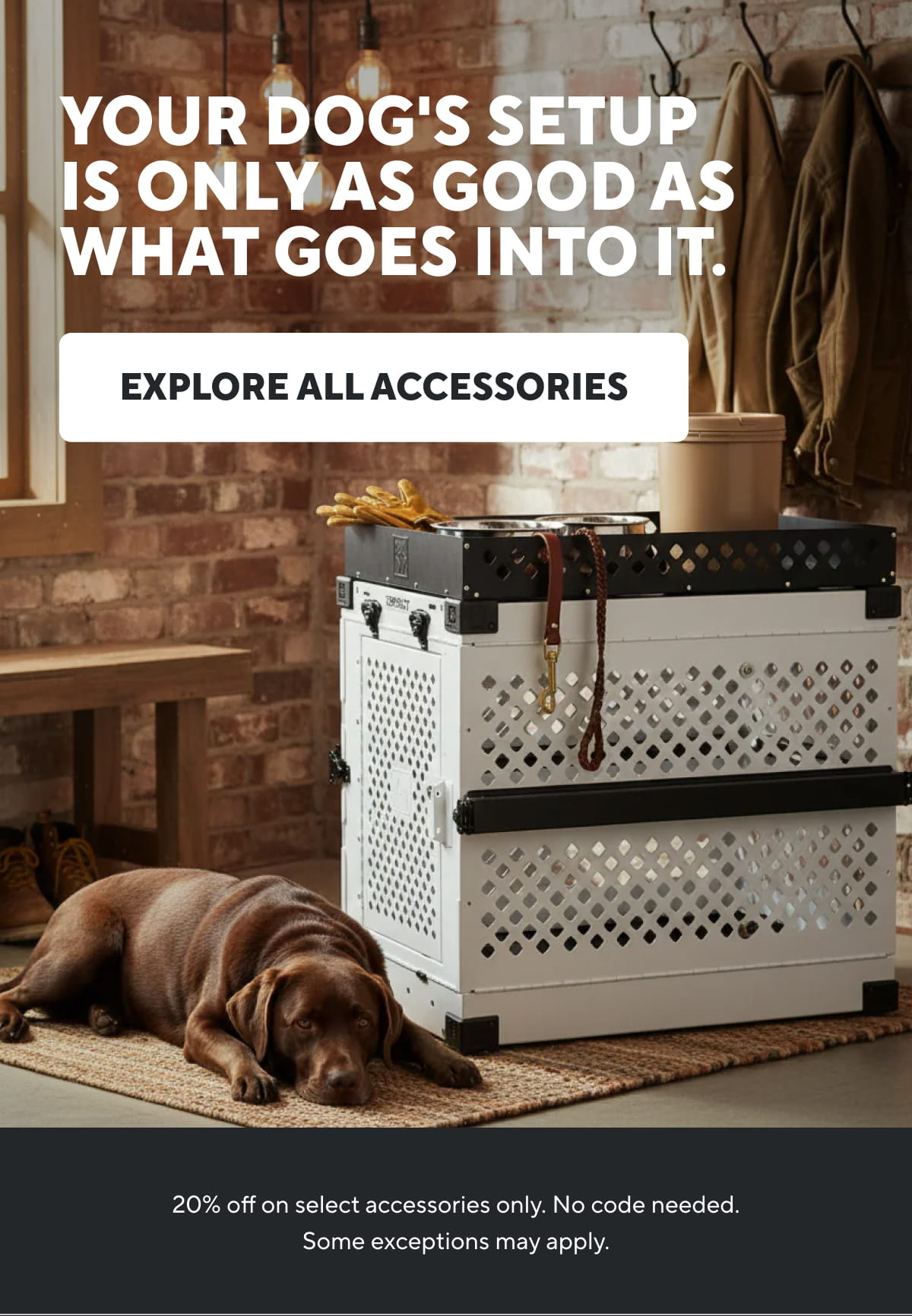 Your dog's setup is only as good as what goes into it. | Explore All Accessories