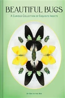 Beautiful Bugs, by Bug In The Box n/a