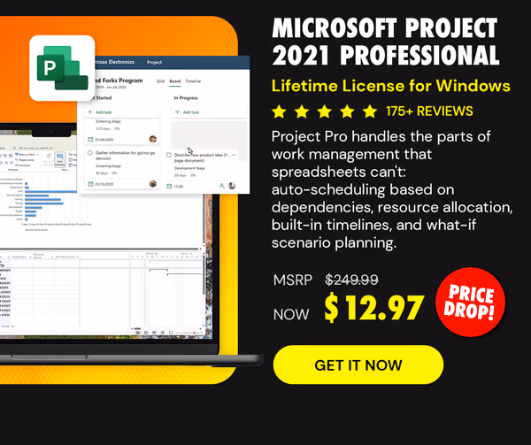 Microsoft Project 2021 Professional: Lifetime License for Windows