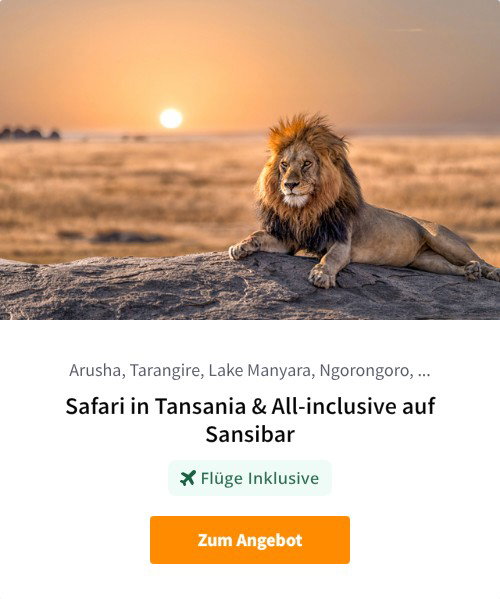 Safari in Tansania &amp; All-inclusive auf Sansibar